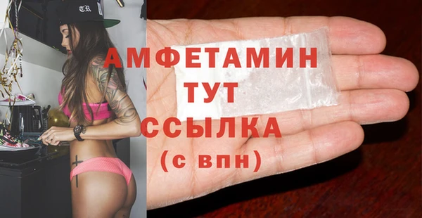гидра Верхний Тагил