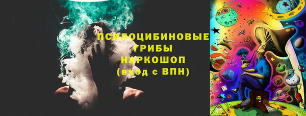 гидра Верхний Тагил