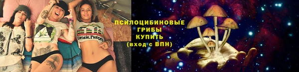гидра Верхний Тагил
