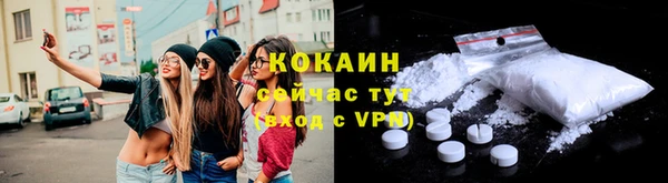 гидра Верхний Тагил
