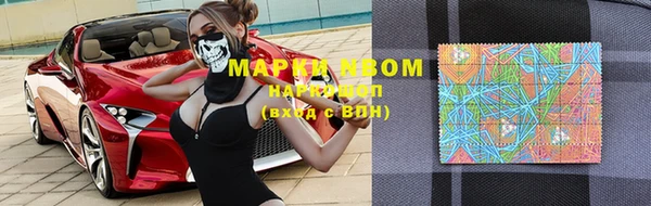гидра Верхний Тагил