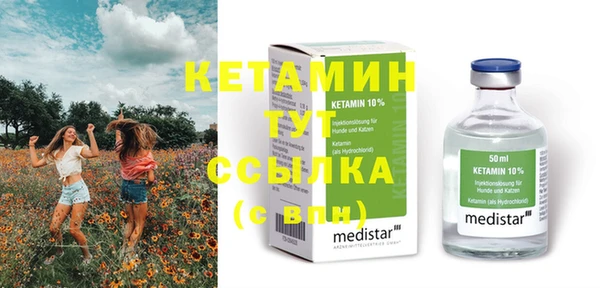 гидра Верхний Тагил