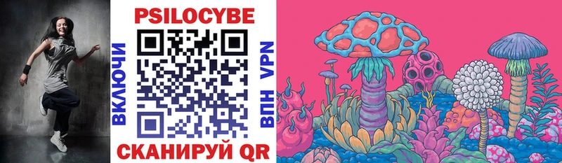 Галлюциногенные грибы MAGIC MUSHROOMS  Купить закладки  Новосиль 